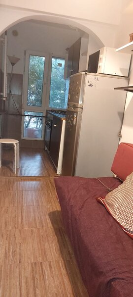 Timisoara, Romancierilor