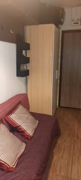 Timisoara, Romancierilor