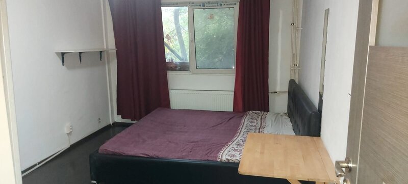 Timisoara, Romancierilor