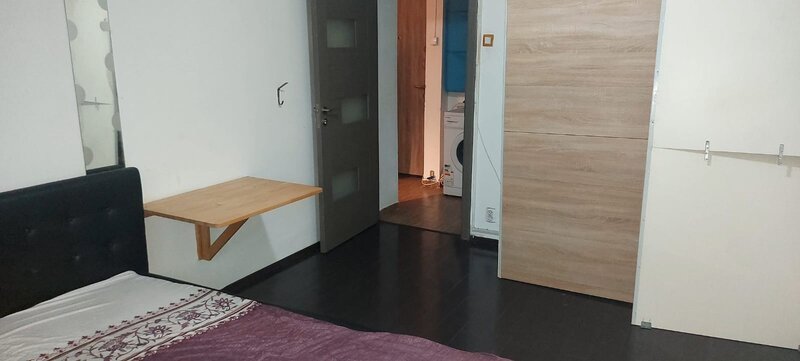 Timisoara, Romancierilor