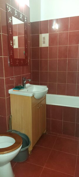 Timisoara, Romancierilor