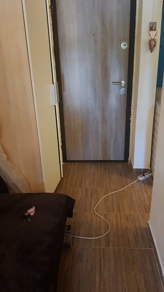 Timisoara, Romancierilor