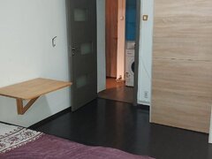 Timisoara, Romancierilor